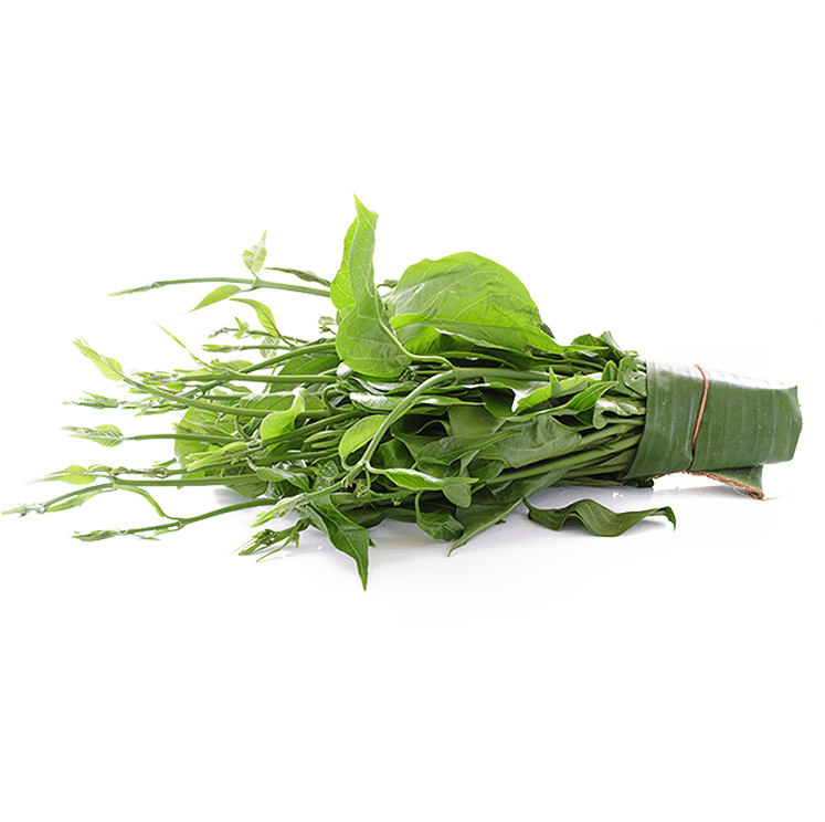 Gymnema Sylvestre