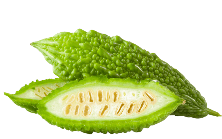 Melón Amargo